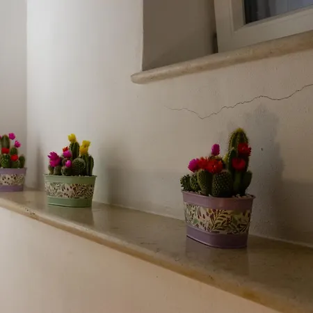 Manna Blue Sky - Exclusive 4*